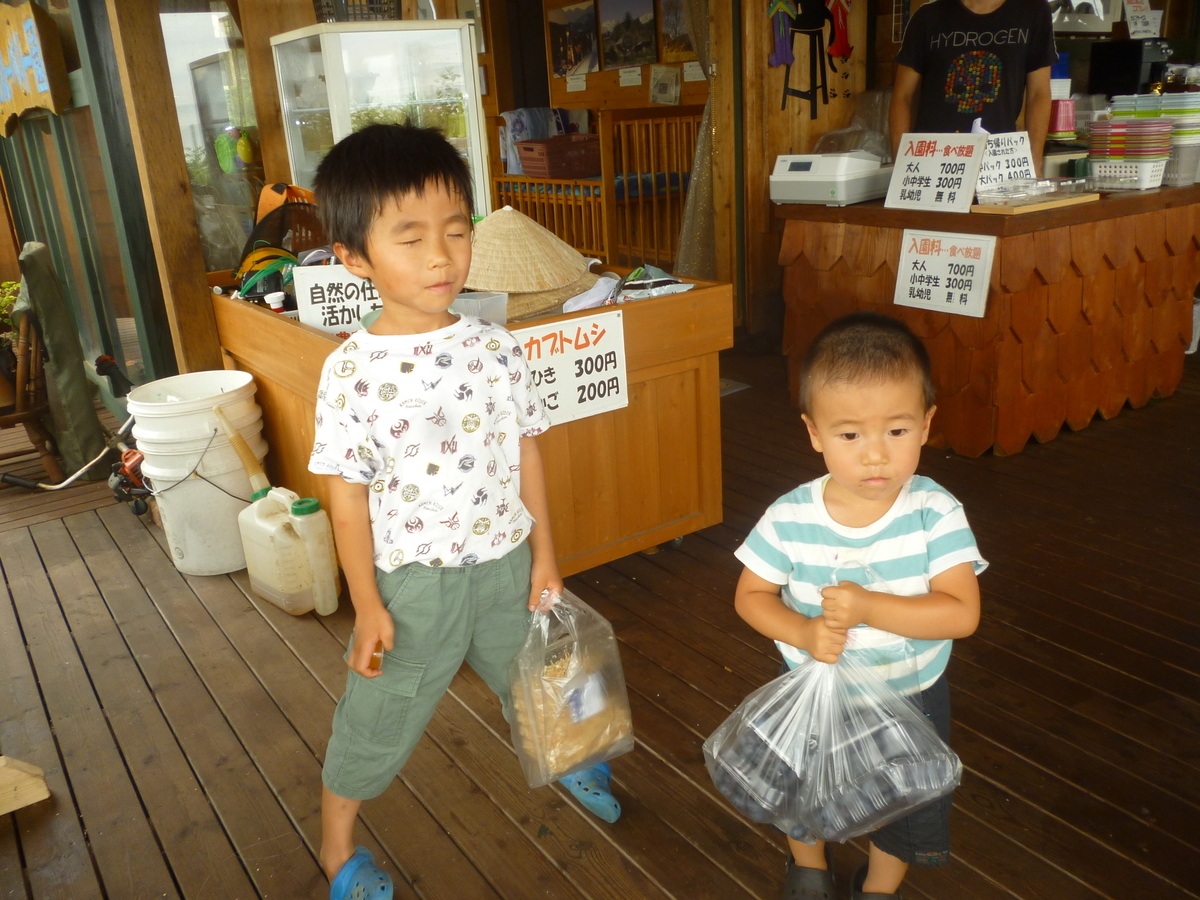f:id:murayama147:20190713205640j:plain