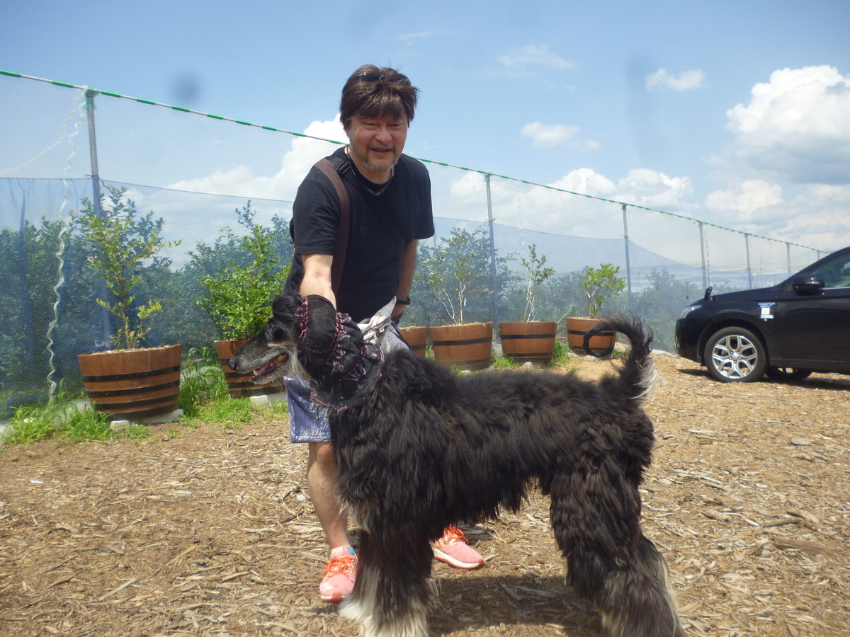 f:id:murayama147:20190717210718j:plain