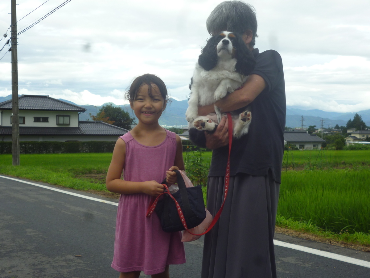 f:id:murayama147:20190722182622j:plain