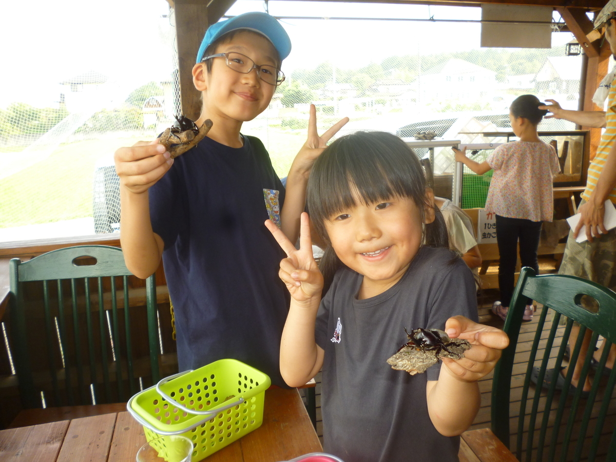 f:id:murayama147:20190724204434j:plain