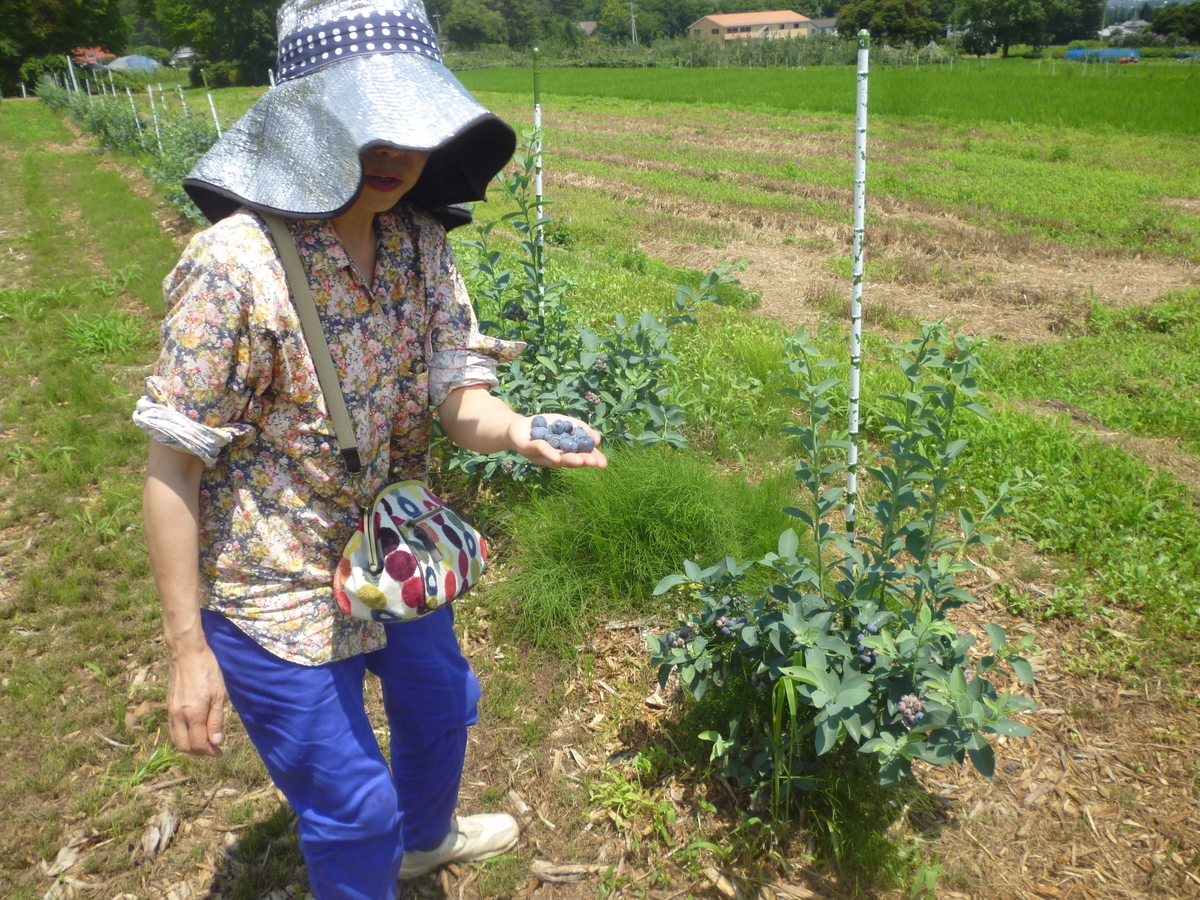 f:id:murayama147:20190724204709j:plain