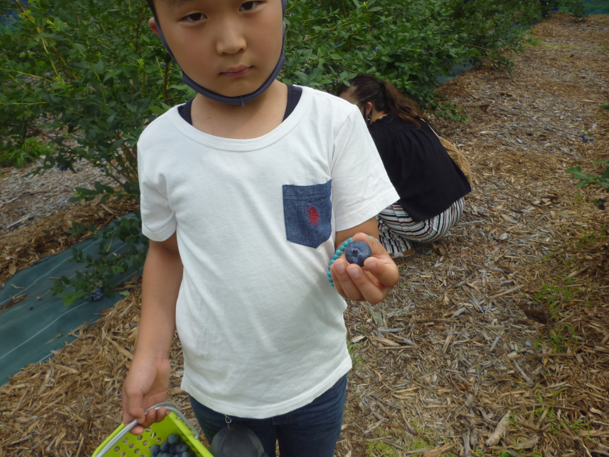 f:id:murayama147:20200705180751j:plain