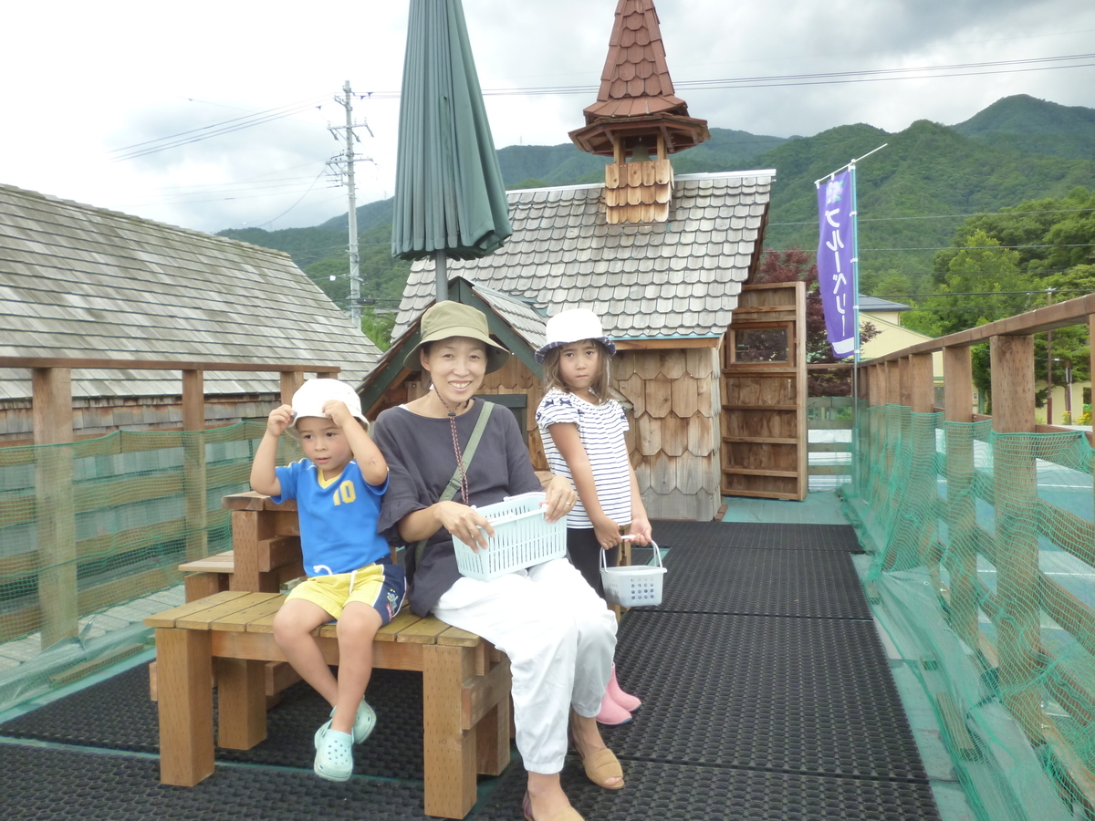 f:id:murayama147:20200705180930j:plain