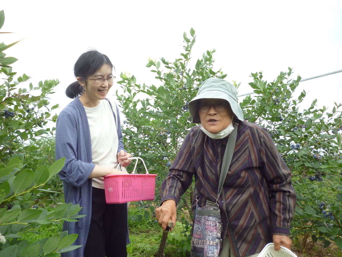 f:id:murayama147:20200710175101j:plain