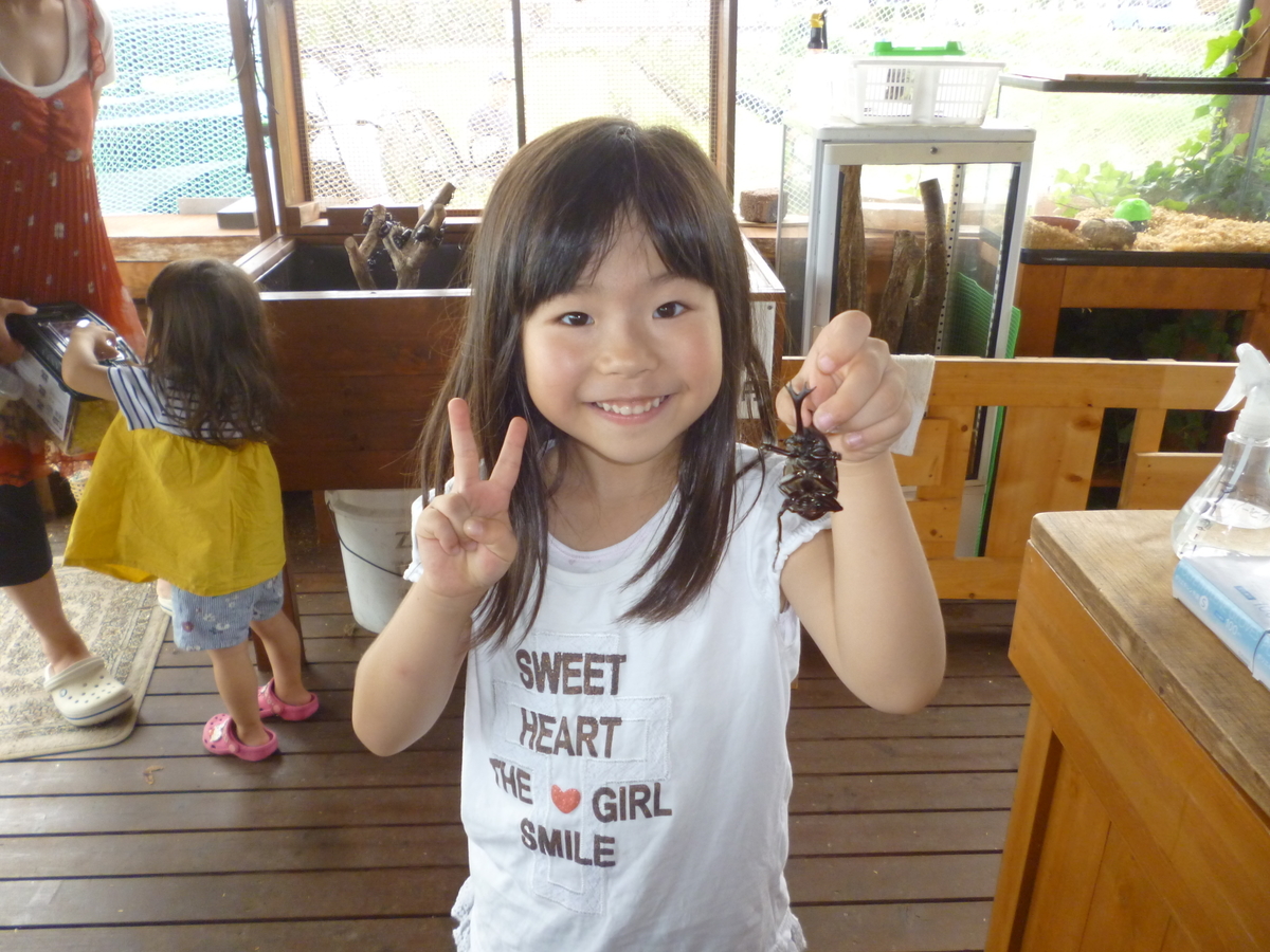 f:id:murayama147:20200712202135j:plain