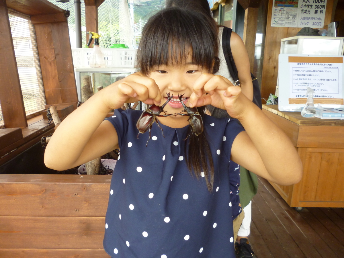 f:id:murayama147:20200712202502j:plain