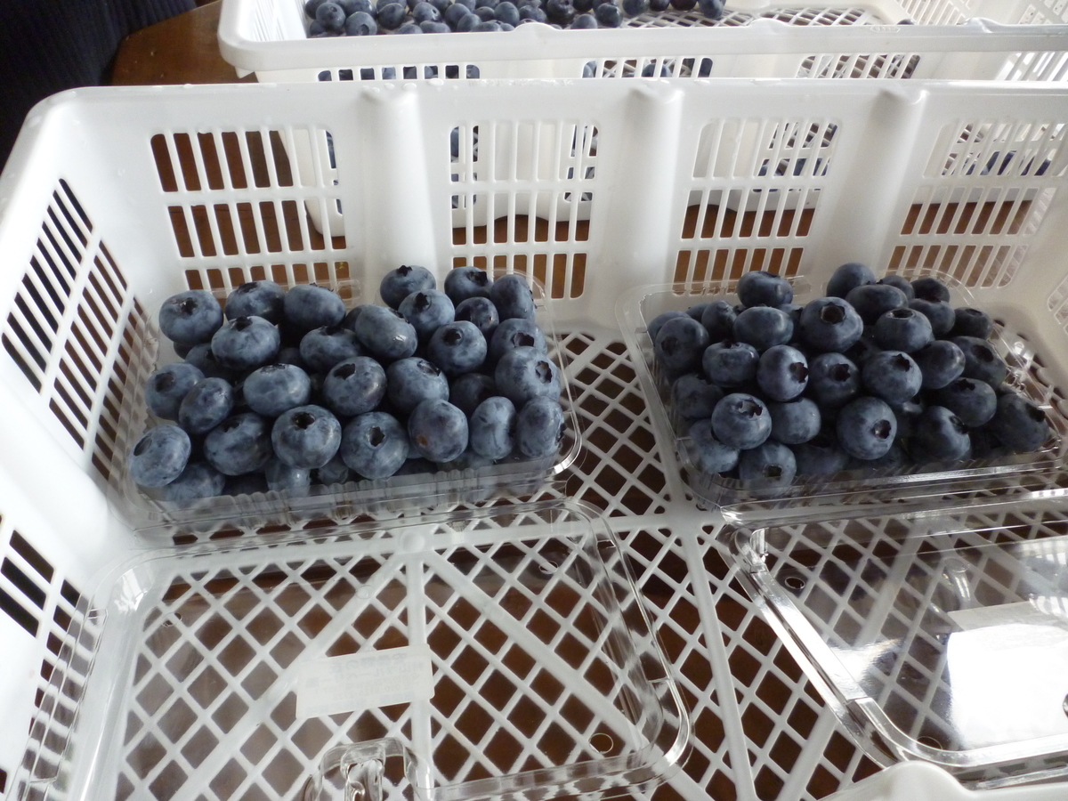f:id:murayama147:20200713172858j:plain