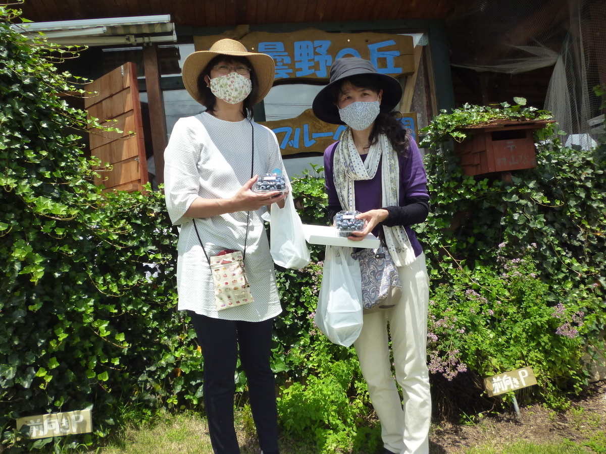 f:id:murayama147:20200716184356j:plain