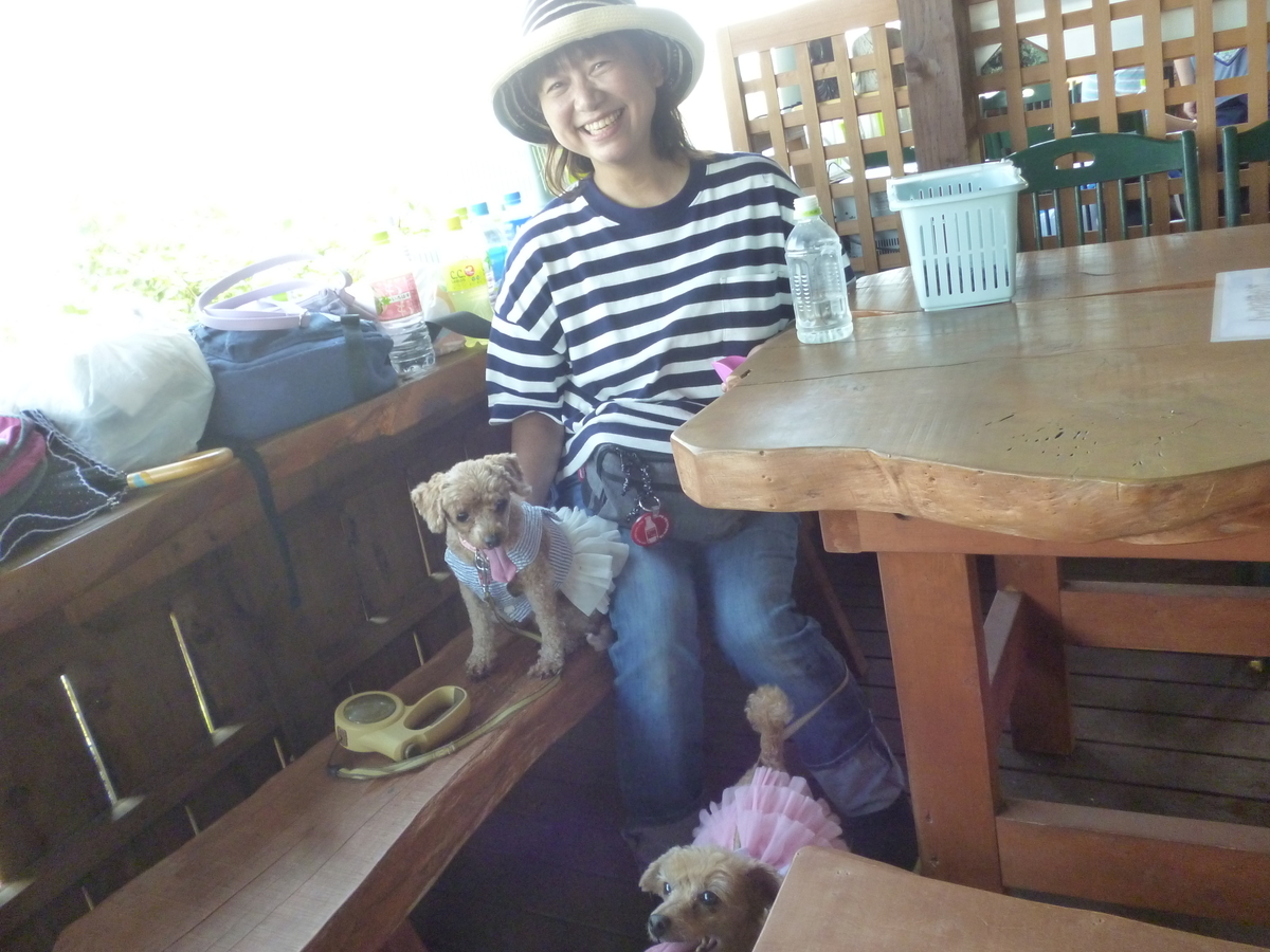 f:id:murayama147:20200719195910j:plain