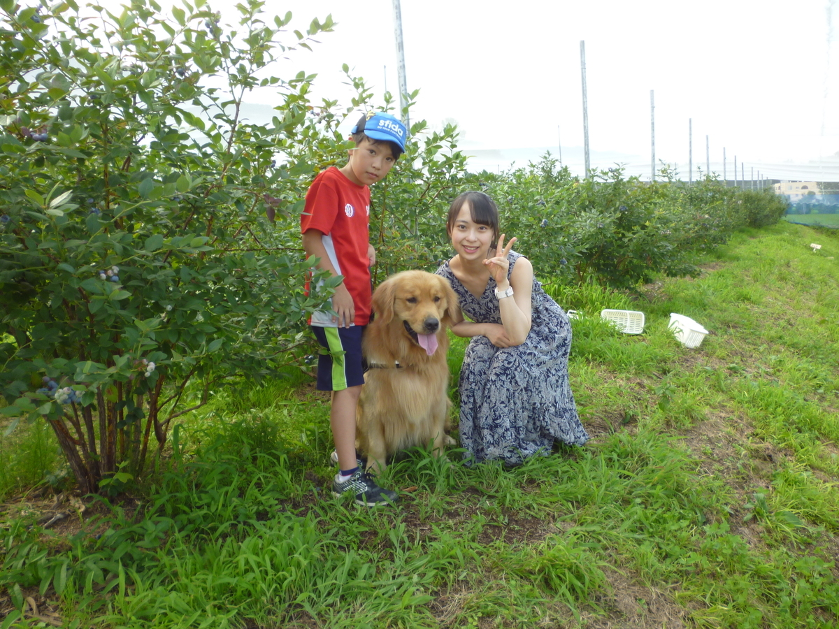f:id:murayama147:20200719202102j:plain