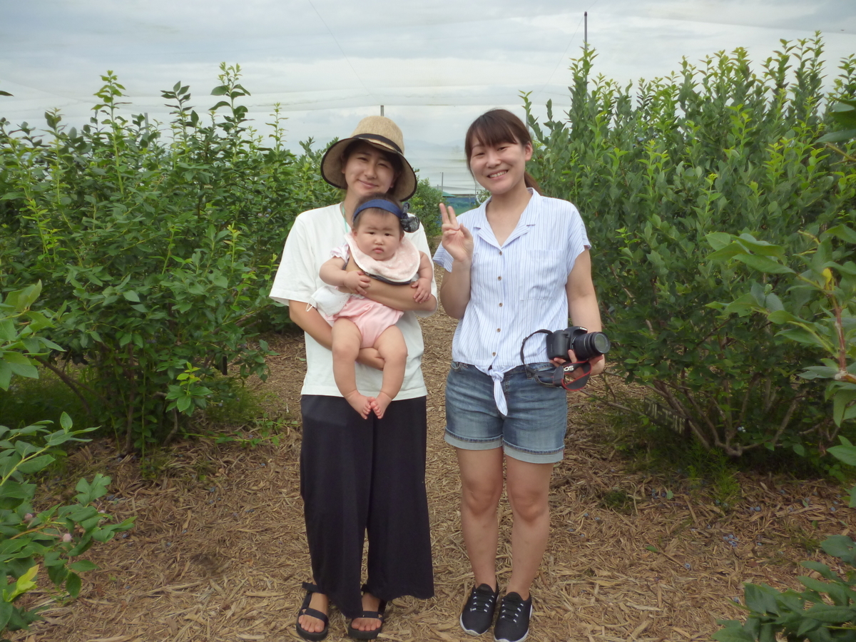 f:id:murayama147:20200720190525j:plain