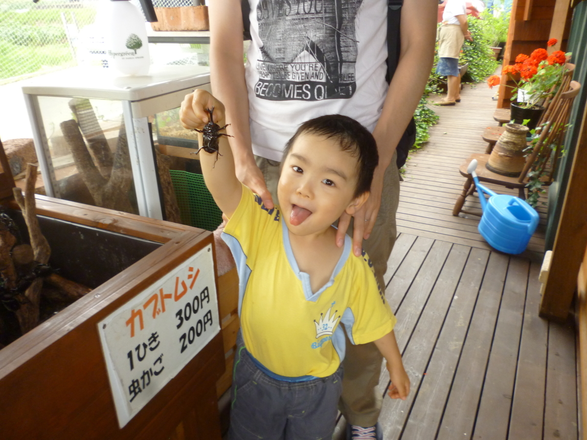 f:id:murayama147:20200724172623j:plain