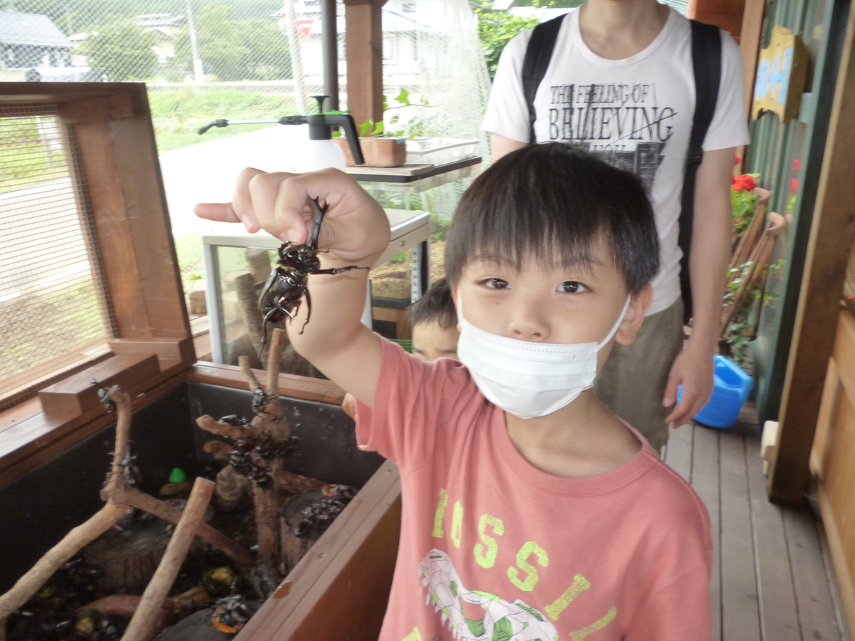 f:id:murayama147:20200724173104j:plain