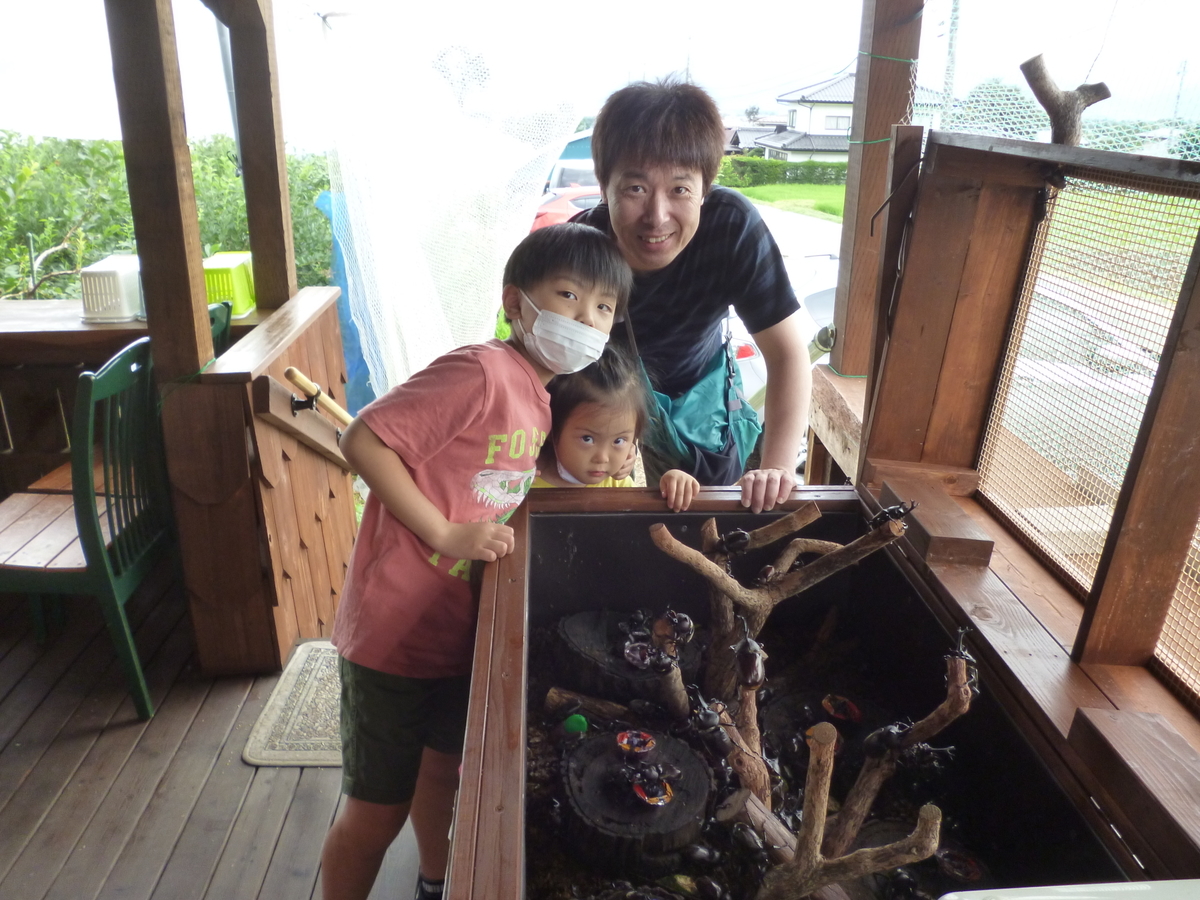 f:id:murayama147:20200724173315j:plain