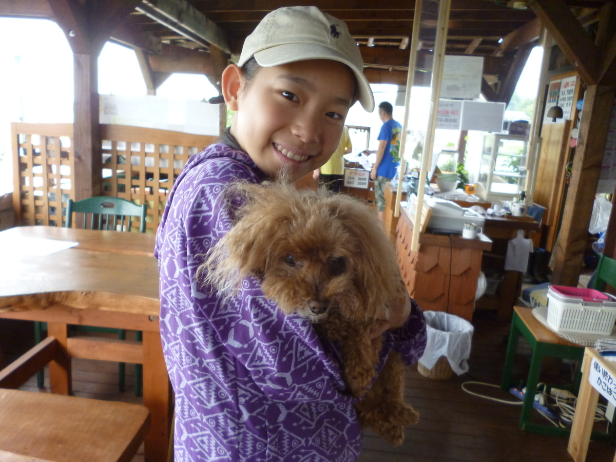 f:id:murayama147:20200724173823j:plain