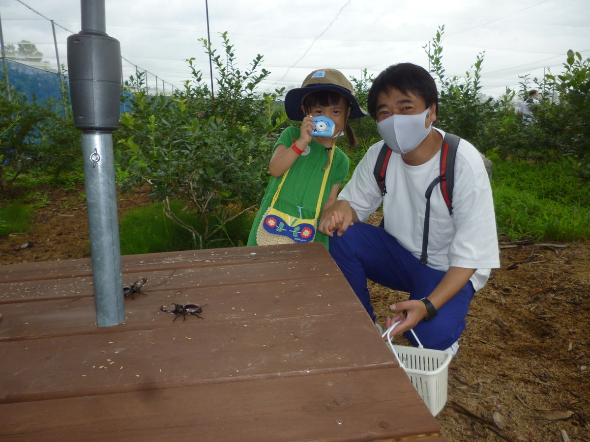 f:id:murayama147:20200724174305j:plain