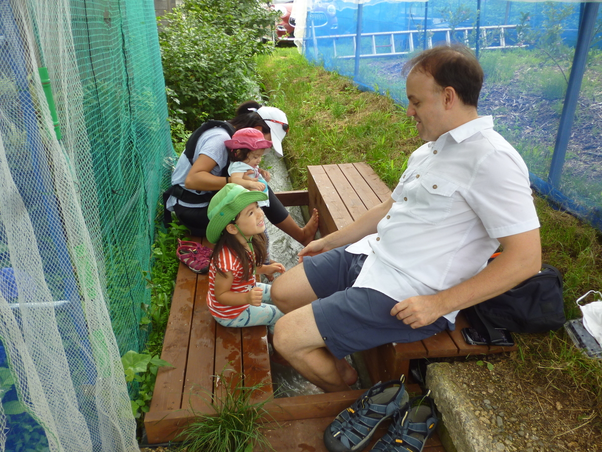 f:id:murayama147:20200724174758j:plain