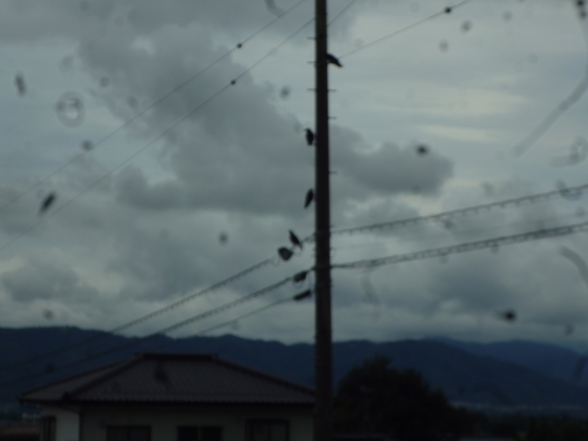 f:id:murayama147:20200729171044j:plain