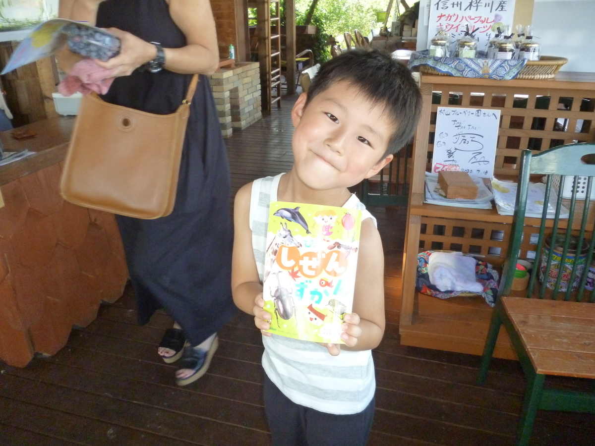 f:id:murayama147:20200731203450j:plain