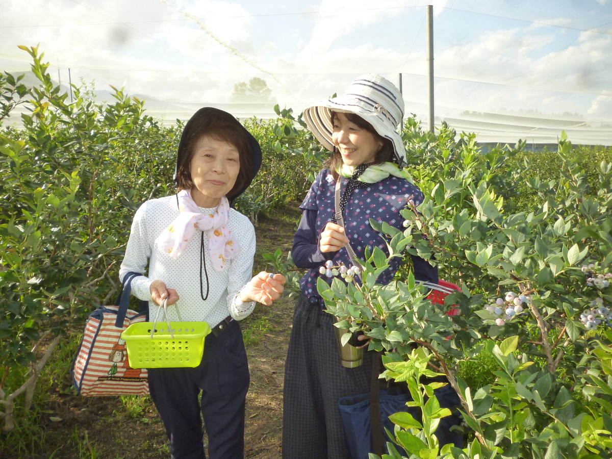 f:id:murayama147:20200731204418j:plain