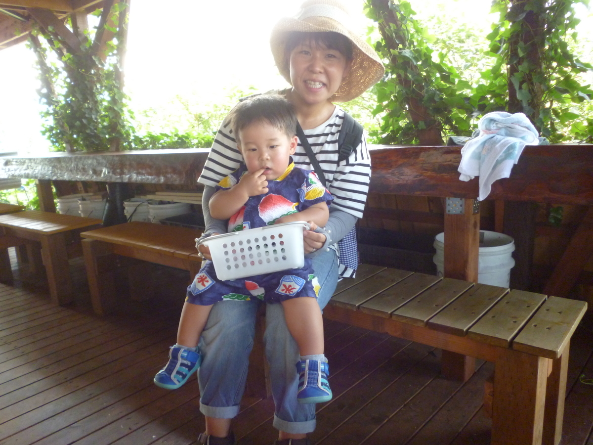 f:id:murayama147:20200731204519j:plain