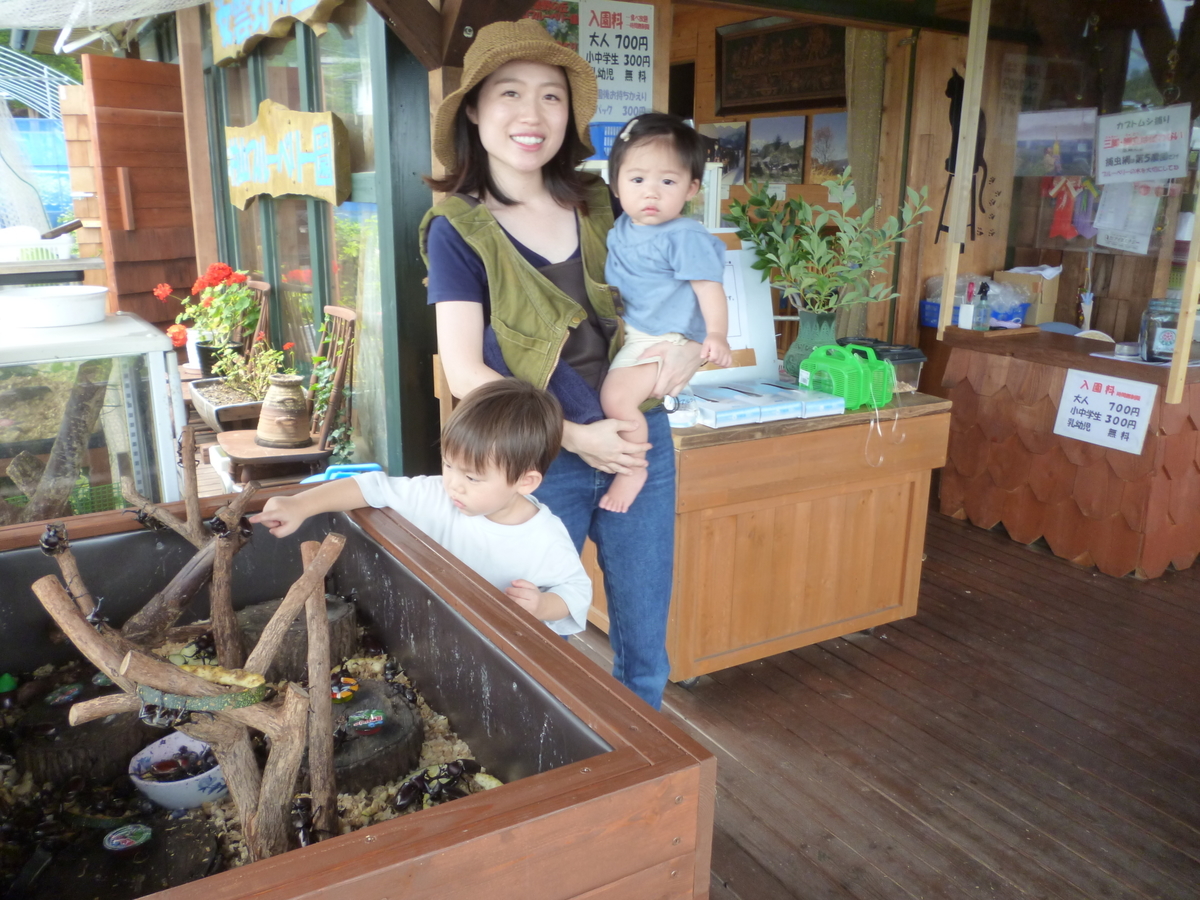 f:id:murayama147:20200731204911j:plain