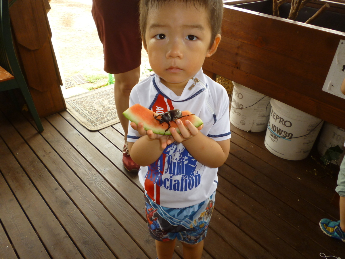 f:id:murayama147:20200808180337j:plain