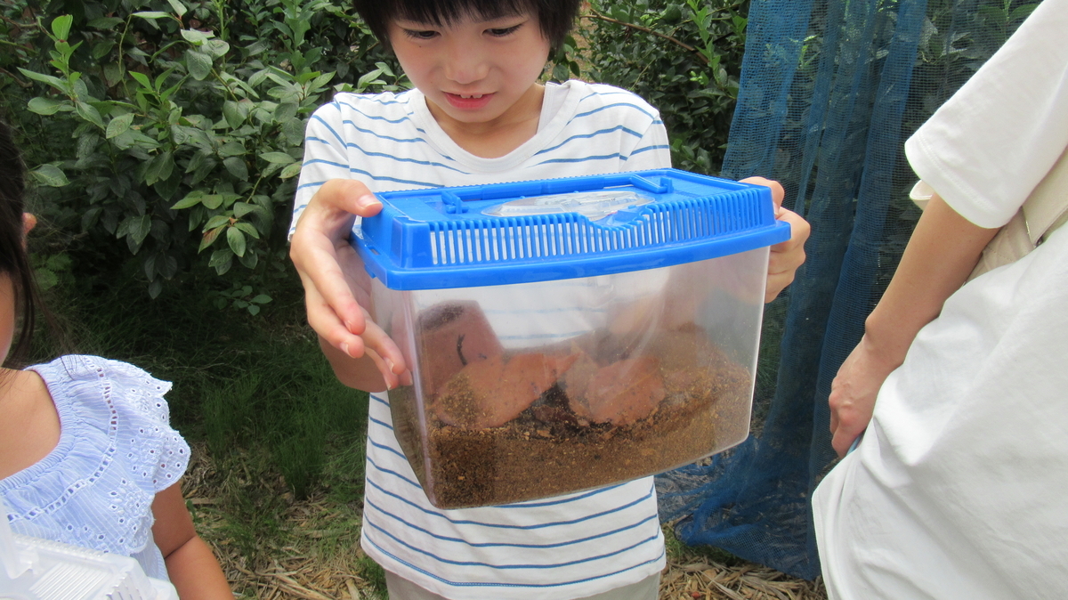 f:id:murayama147:20200822193908j:plain