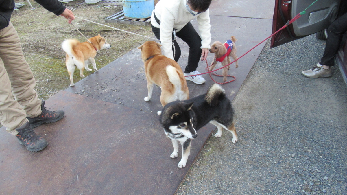 f:id:murayama147:20201114172644j:plain