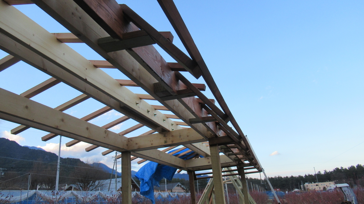 休憩所増設 テラスの軒を作っています 安曇野の丘村山ブルーベリー園 カブトムシ捕りひまわり迷路がある自然農園