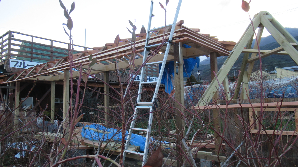 休憩所増設 テラスの軒を作っています 安曇野の丘村山ブルーベリー園 カブトムシ捕りひまわり迷路がある自然農園