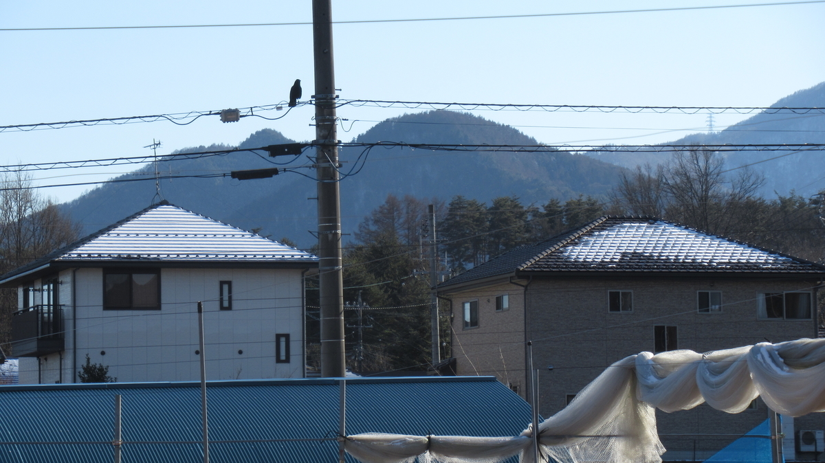 f:id:murayama147:20210219172449j:plain
