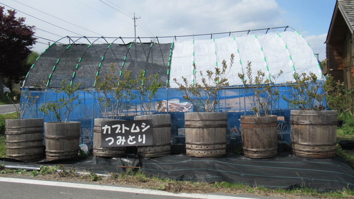 f:id:murayama147:20210503170418j:plain