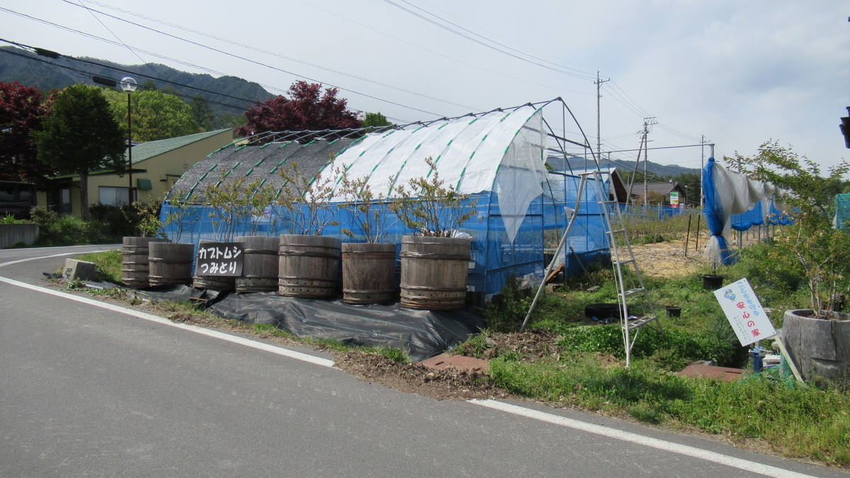 f:id:murayama147:20210503170432j:plain