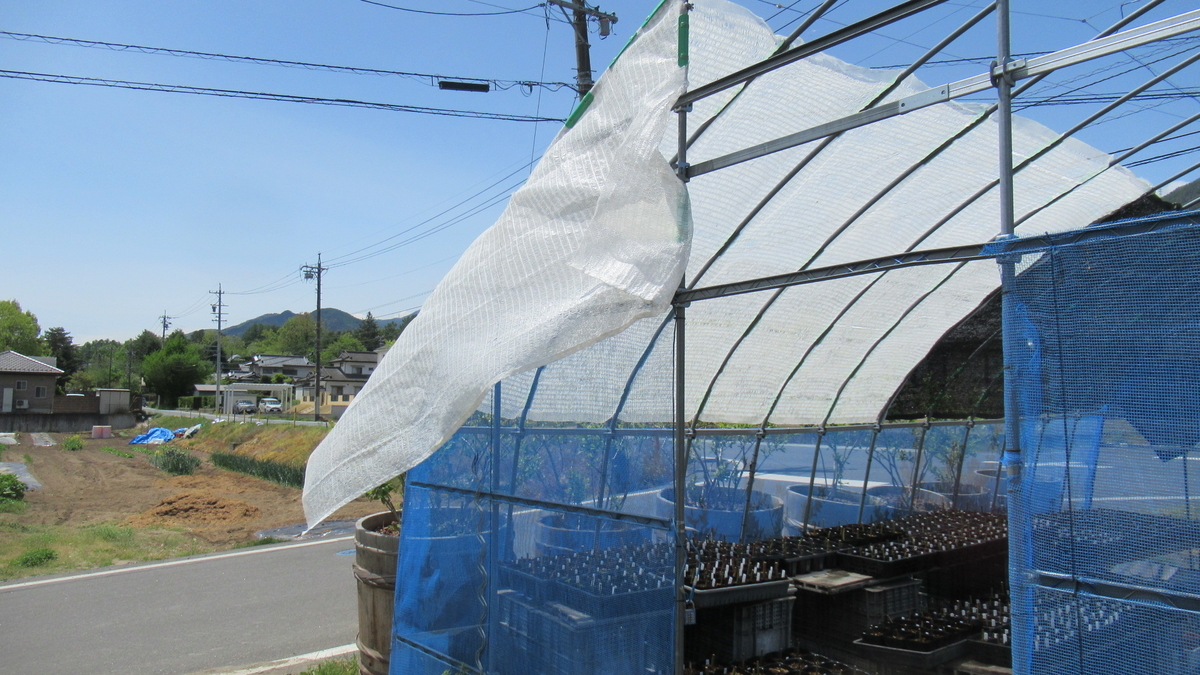 f:id:murayama147:20210509181332j:plain