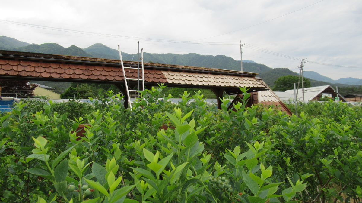 f:id:murayama147:20210524172742j:plain