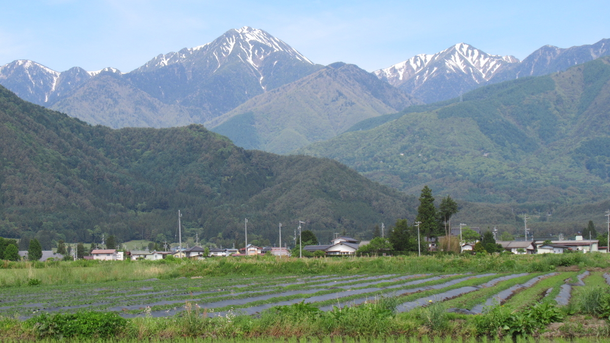 f:id:murayama147:20210526175100j:plain