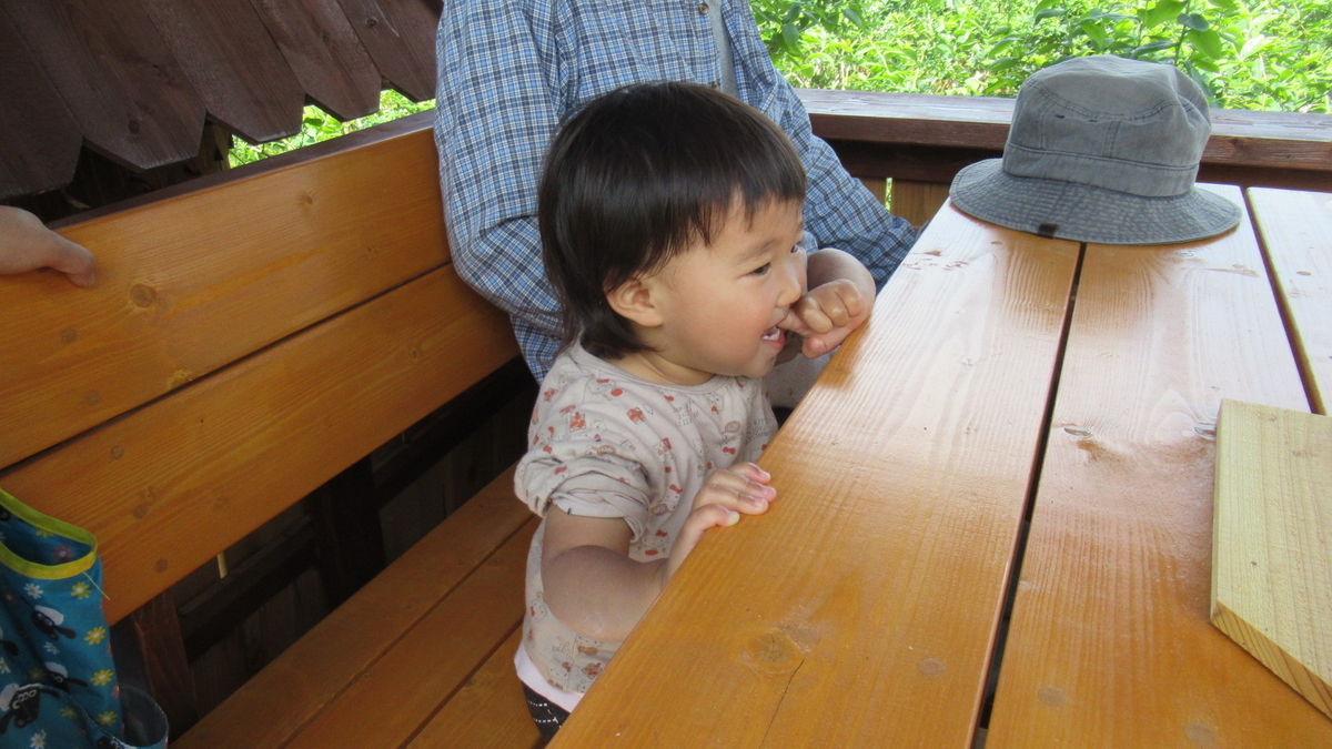 f:id:murayama147:20210531171142j:plain