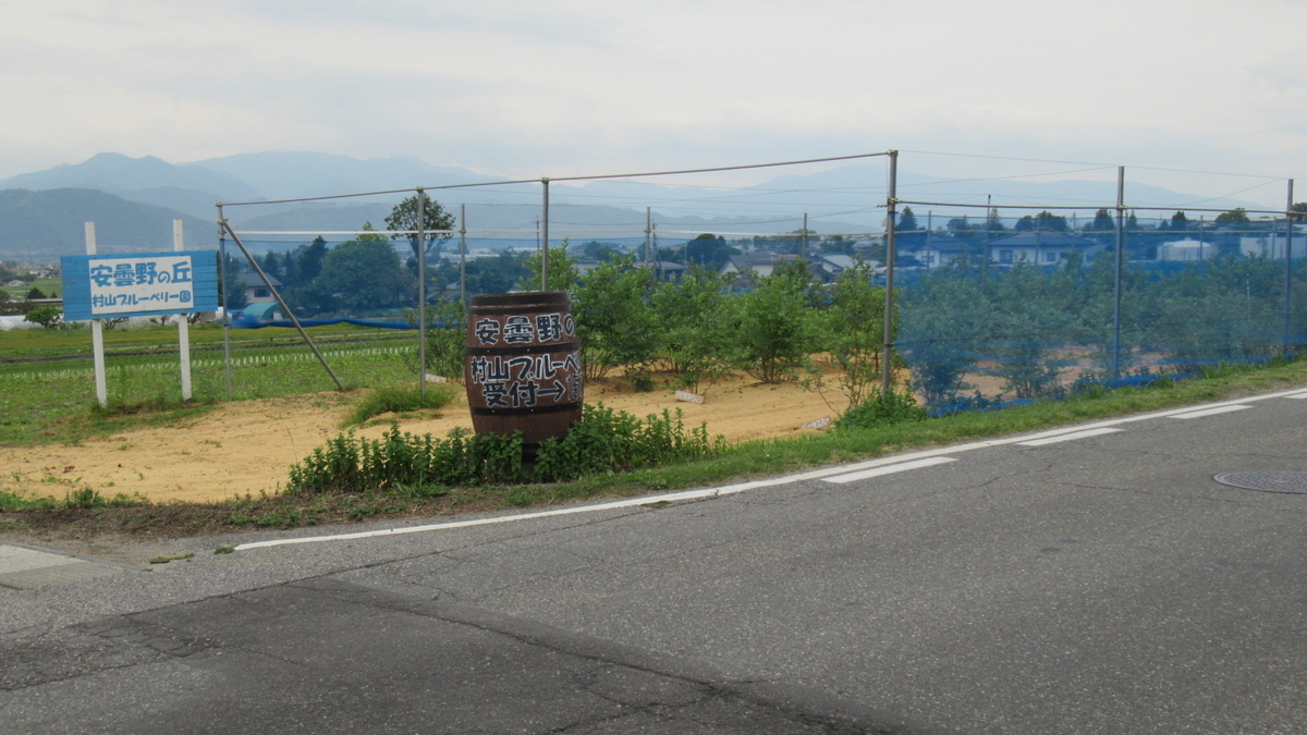 f:id:murayama147:20210603174628j:plain
