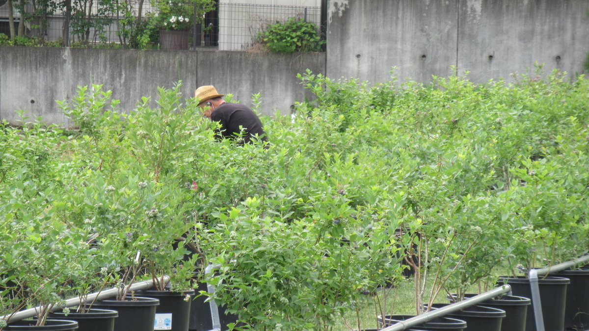f:id:murayama147:20210625193919j:plain