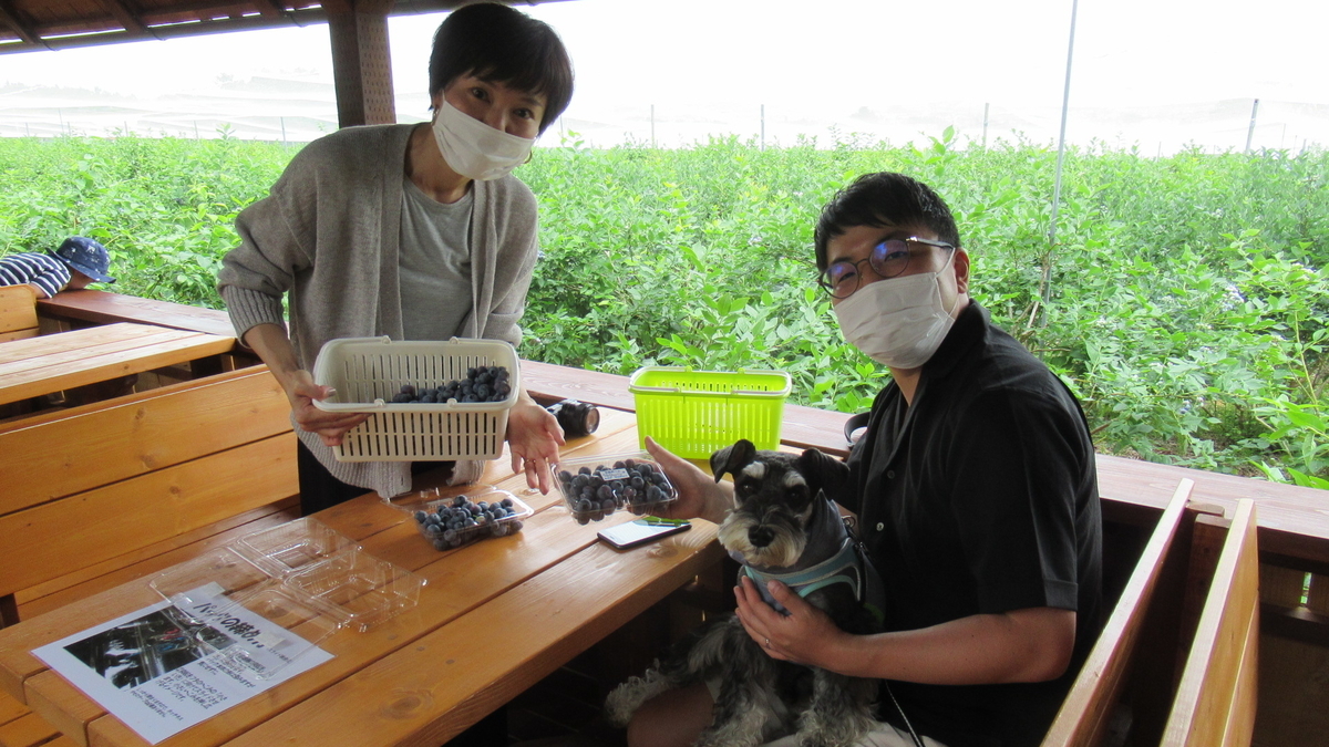 f:id:murayama147:20210626181105j:plain