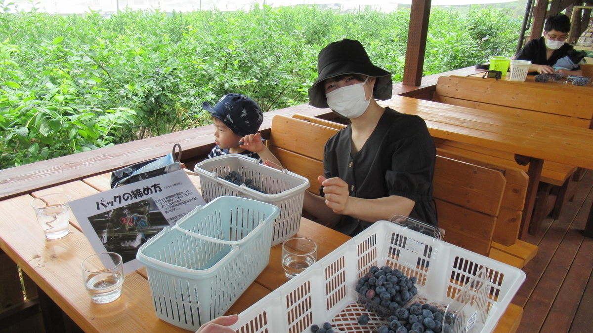 f:id:murayama147:20210626183333j:plain