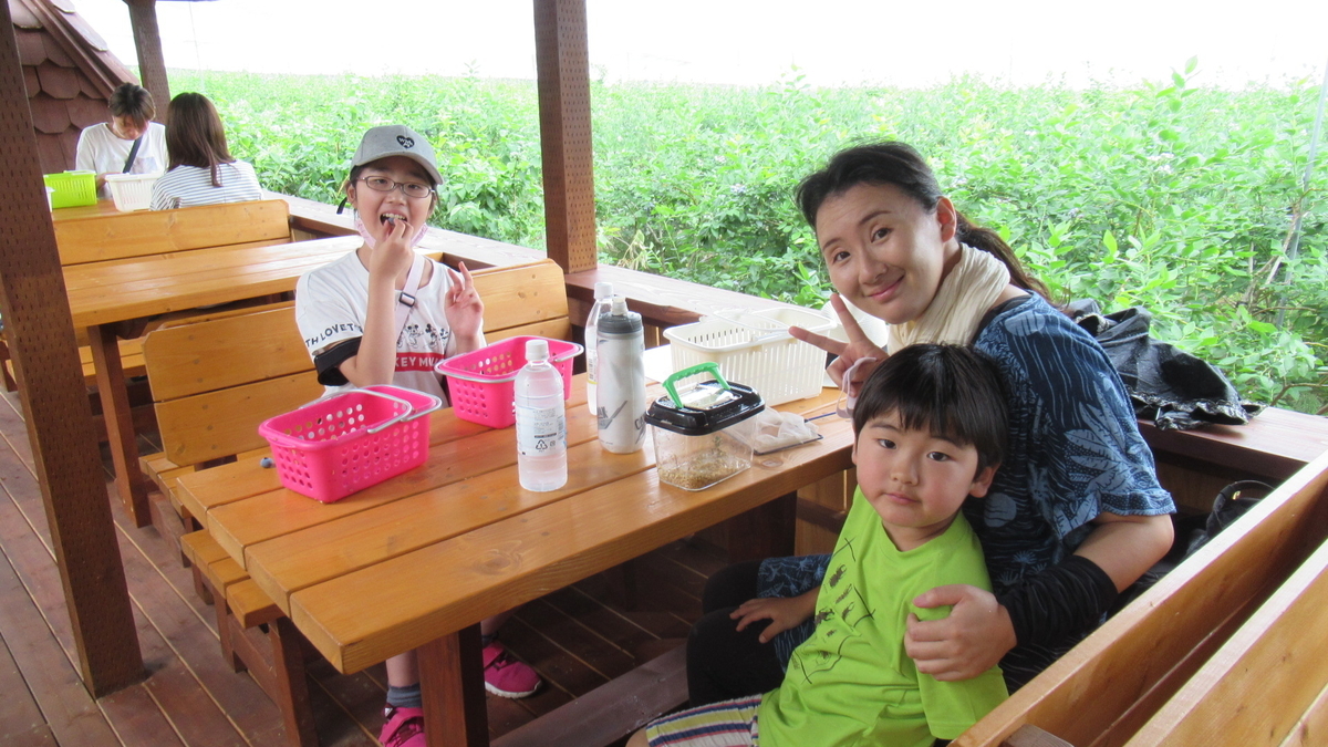 f:id:murayama147:20210626183344j:plain