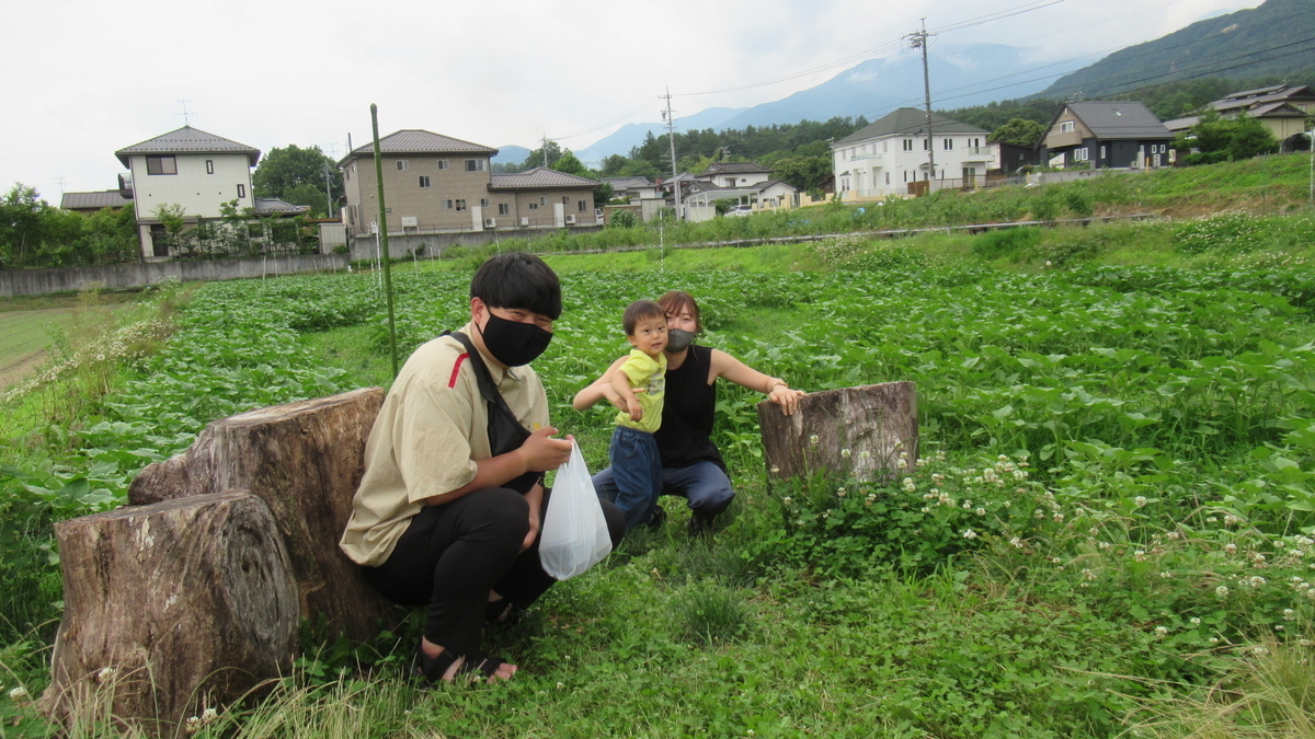 f:id:murayama147:20210626183722j:plain