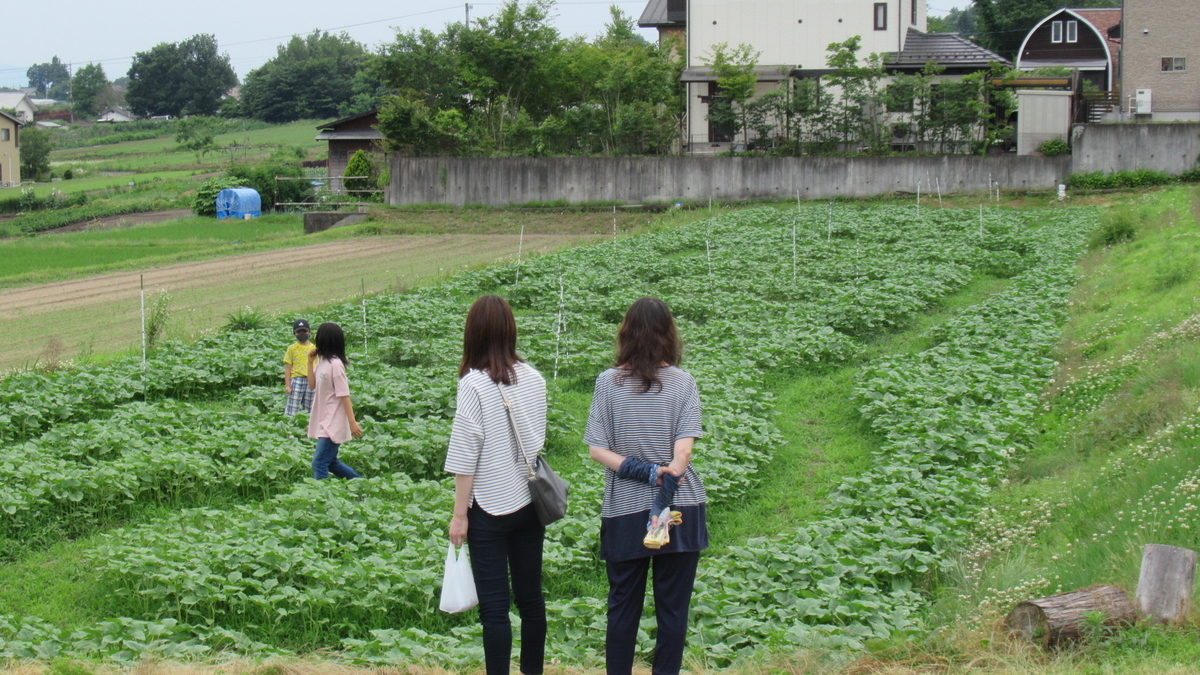 f:id:murayama147:20210626183727j:plain