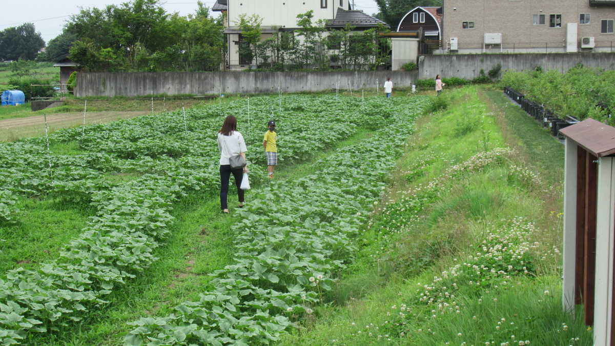f:id:murayama147:20210626183734j:plain