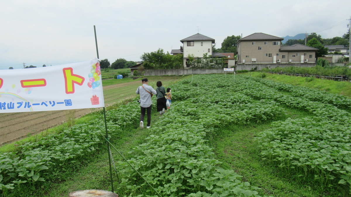 f:id:murayama147:20210627180856j:plain