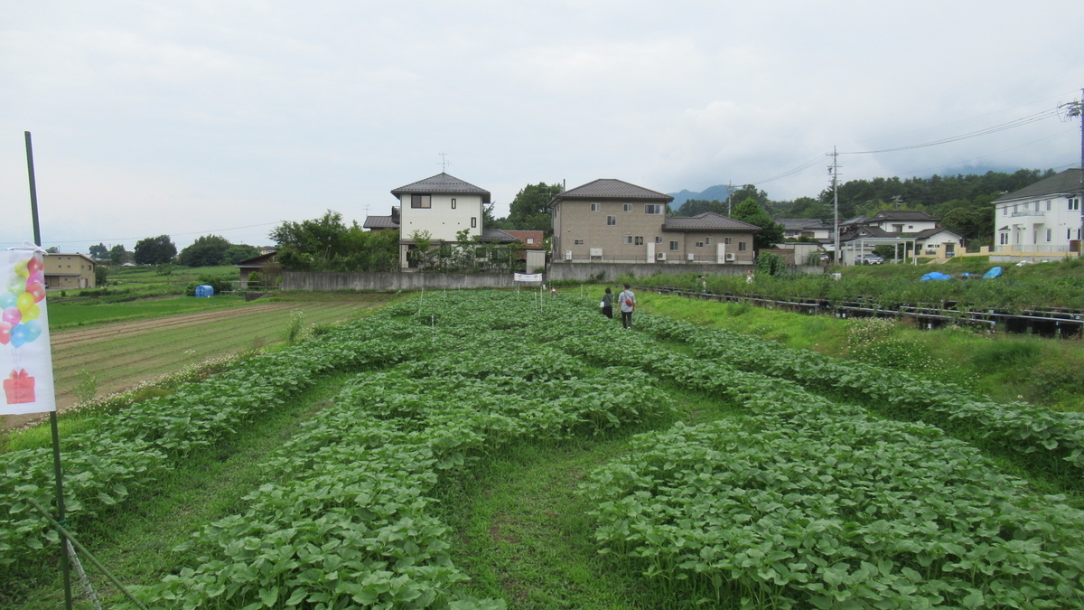 f:id:murayama147:20210627180908j:plain
