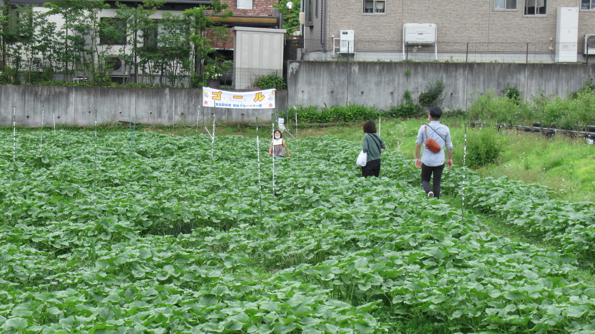 f:id:murayama147:20210627180914j:plain