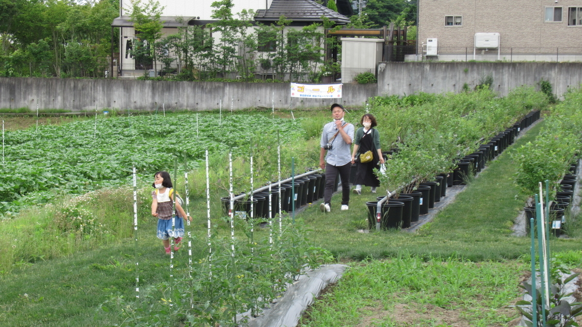 f:id:murayama147:20210627180923j:plain